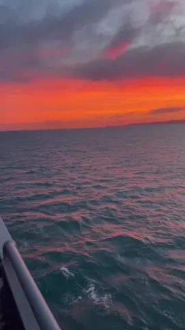 Sunset sail ⛵️ #scenicview #sunset #amazingsunsets #wowsunset #wow #sunsets #sunsetbeach #sunsetlover #sopretty #prettyviews #landscape #scenery #stunningviews #landscape #beach #tiktok #4kvideo #seaside #soamazing #brethtaking #beachsunset #sunsetview #seasidesunset #fyp #foryou #foryoupage #fypシ 