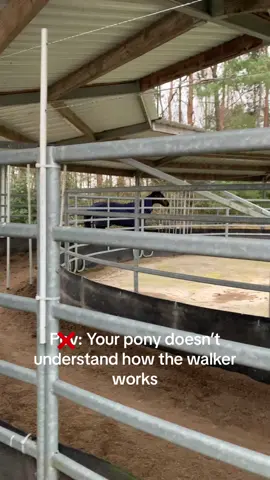 SHE’S FINE‼️ My mom was on the emergency button!😀 //#fyp #horsesoftiktok #jumpinghorse #hearthorse #horsefail 