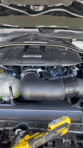 PMAS fender location Intake is the best Intake for Gen 3 Mustangs hands down. Message us for quote. Available here at Puerto arico Motorsport. #Ford #mustang #mustanggt #coyote #intake #coldairintake #installation #car #carguys #viral #foryou #fyp #foryoupage 