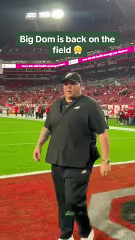 #bigdom #philadelphiaeagles #nfl #football #playoffs 