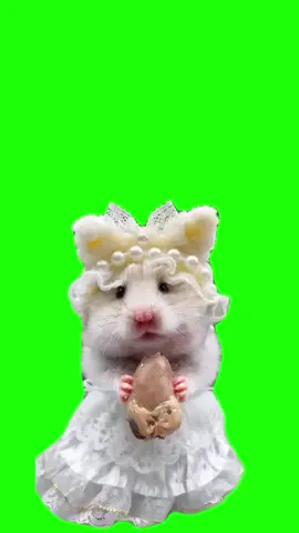 cute meme #fyp #viral #trend #parati #greenscreenvideo #memecut #bunny#cute#CapCut 