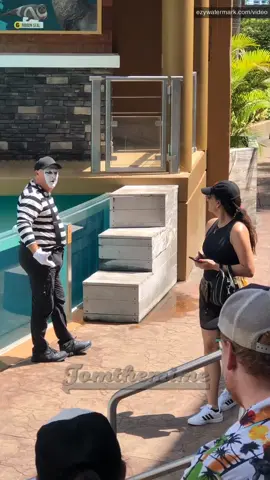 #funnyvideos #tomthemime #fyp 