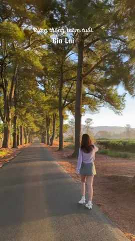 Những ngày đông có nắng, có cả sắc hoa xinh, thế mà chàng đi vắng, chẳng có ai bên mình🌿🔆  #storyofmylife  #capcut #GiaLai 