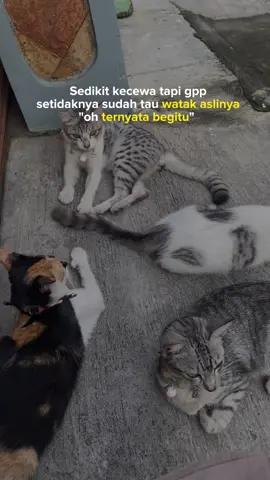 setidaknya saya tau sekarang siapa lawan dan kawan saya 🙂#fyp #fypシ #storywa #storywakeren #storykatakata #quatesfyp #motivasihidup #sadvibes #sindiran #foryou 