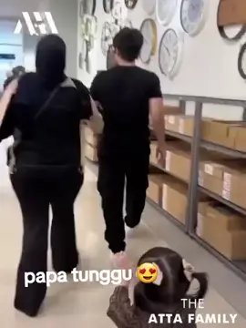 Papa tunggu😂😍  #ameenaatta #attahalilintar  #aurelhermansyahatta 