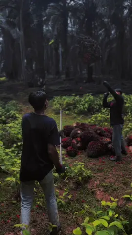 Irup mate olek side doang😔😊.            #lomboktiktok #kulisawit #sawitontiktok #fypシ #xbcyza 