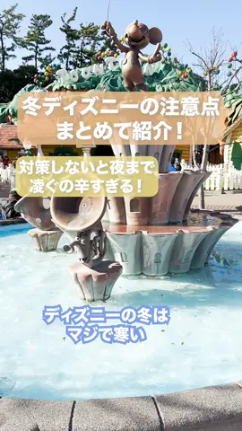 みんなは他に持ってく対策アイテムとかあるかな？紹介してる物以外に僕は水筒や手袋なんかも持っていってる🙋‍♂️#ディズニーシー #ディズニーランド #冬ディズニー #対策 #持ち物 