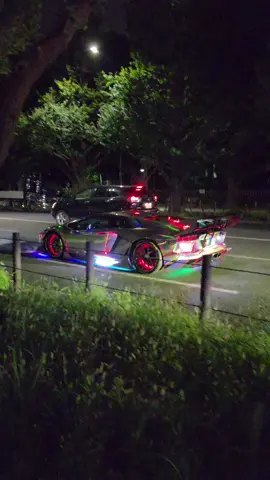 外苑イチョウ並木歩いてたらかっこいいのいた！！