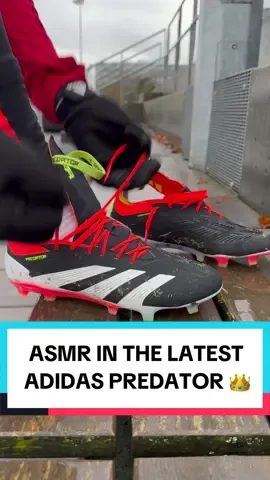 ASMR in the brand new adidas Predator Elite’s 😍 Shop the boots online at Pro:Direct Soccer 📲 #prodirect #adidas #adidaspredator #asmr #asmrsounds 