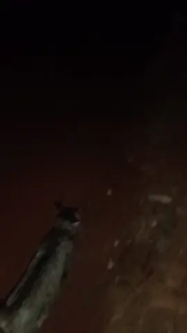 balik pun harus di jemput  #fyp  #mpuss🐈 #bailkmain 