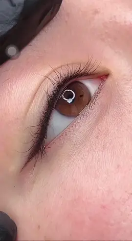 Mí đá đuôi nhẹ nhàng đón tết #myychiengbellavietnam #phunmí_eyeliner 