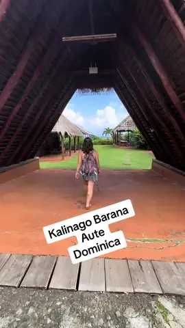Kalinago Barana Aute, Dominca. #kalinagobaranaaute #dominca #dominicatravel #dominicahistory #caribbeanhistory #caribbean 