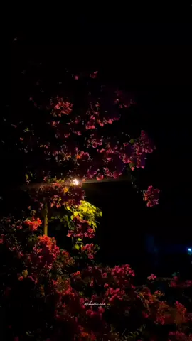 unnudan irupathal uyirudan irukiren 🤍💗. #ashwineei #ashwineeicreation #mudhalmuraiunnaipaarthapothey #unnudanirupathal #haricharan #addicted #fyp #fypシ #fypシ゚viral #fyp #🤍💗 #trending #newpost #fyppppppppppppppppppppppp 