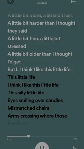 this little life #foryoupage #focusonspeed #speedsongs #speedup #spedupsongslyrics #speedupsongs #spedupaudios #fyp #thislittlelife #ithinkilikethislittlelife #trending #fypシ゚viral #xyzbca 