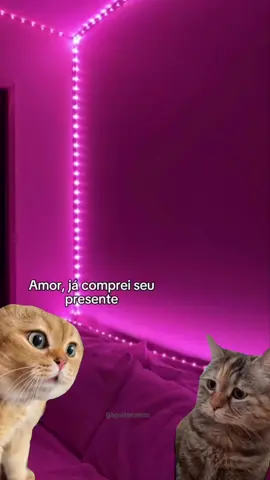 #humor #gato #engraçado #meme #casal #presente 