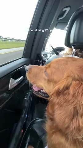 At least there was no flat tire on this drive #roadtrip #uncrustables #bookrecs #bncmap 