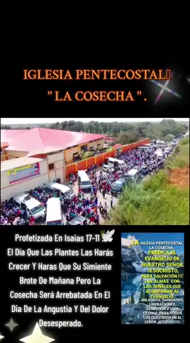 #viral #iplacosecha #himnos 