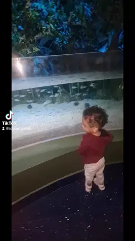 ❤️حبيب قلبي❤️