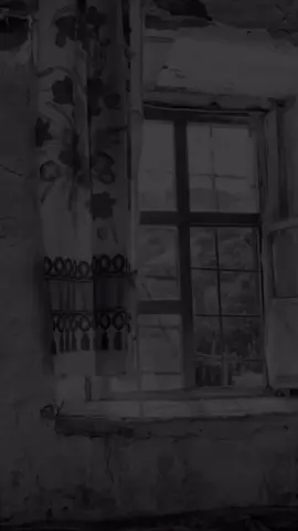 #heyecan #ciwanhaco #kurdish #kürtçe #music #✨ #❤️ 