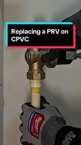 Replacing a water pressure regulator valve on CPVC pipe 💦 #plumbing #plumber #fyp 