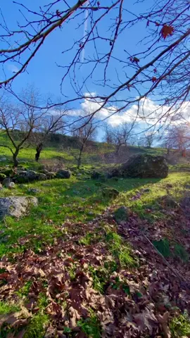 #barzani #srwshtekwrdstan #kurdstan #foryou #fepシ #foryoupage #actives? #wtay_jwan #dyardersim #tiktok #harbo #nzari #PodTok 