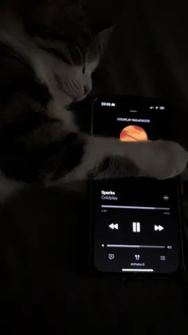 #sparks #coldplay #viral #cat #lofimusic #music #foryou #foryoupage #foryoupageofficiall #tiktoksafe #
