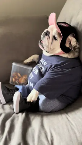 Read my shirt... then read my lips....🍪👊🏻😋😂 #dietsareforquitters #asmreating #asmrfood #englishbulldog 