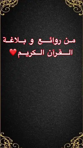 بلاغة القرآن العظيم @معلومات ثقافية عامة @معلومات ثقافية عامة @معلومات ثقافية عامة  #يوسف_عليه_السلام #نبي_الله_يوسف #سورة_يوسف #قصص_الأنبياء #القران_الكريم #بلاغة_القرآن #السعودية_الكويت_مصر_العراق_لبنان #الجزائر_تونس_المغرب #العراق_السعوديه_الاردن_الخليج #الشعب_الصيني_ماله_حل😂😂 #foryourpag #foryour #explore 