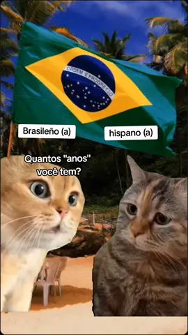 Aprende portugués aqui #brasil🇧🇷 #portuguesbrasileiro #rayanamacedo02 