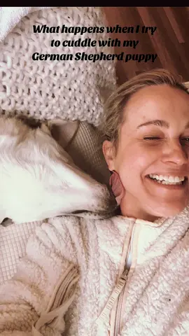 #gsd #gsdpuppy #gsdlove #rescuedogsoftiktok #rescuedogsrock #alwaysrescueanimals 