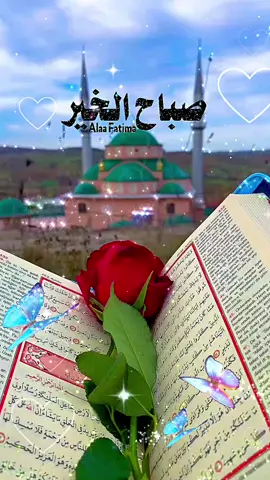 #صباح_الخير #صباح #صبا #صباحات_جميلة #صباحاتي_الجميله_الرقيقة #صباحاتي_الجميله_الرقيقة 