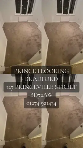 Full house🫡🫡🫡 call us for a qoute now #viral #flooringinstaller #foryoupage #bradford #SmallBusiness #blowthisup #carpetinstaller #interiordecorating #flooring #carpet 