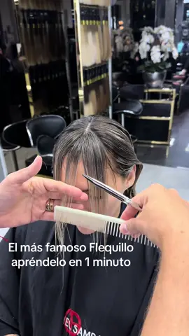 El mas famoso Flequillo citas 3057741449
