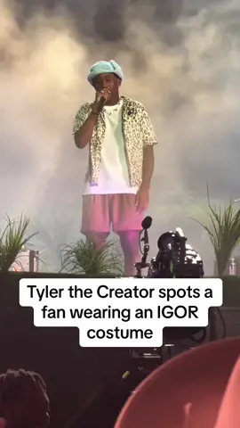 I love Tyler #fyp #tylerthecreator #funny #funnyvideos 