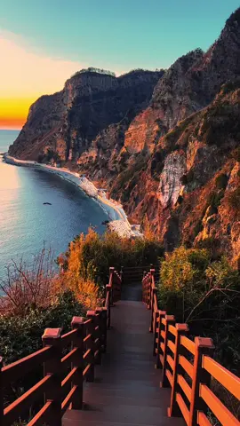 🌅 Beautiful Sunset 📍울릉도 남서일몰전망대 첫 번째 울릉도 그리고 일몰 남서일몰전망대는 모노레일을 타고 3분이면 올라갈 수 있는 일몰 전망대 입니다! 어른 4,000원 청소년, 군인 3,000원 어린이 2,000원 경로우대 2,000원 하절기 09:00 ~ 19:30 입장마감 19:00 동절기 09:00 ~ 18:00 입장마감 17:00 ✅저장하고 울릉도 여행가시면 꼭 가보세요 ________________________________ #울릉도 #남서일몰전망대 #울릉도일몰 #울릉도여행 #koreatrip #korea #ulleungdo #dokdo #koreatravel #travelphotographer #travelinfluencer #여행사진작가 #여행인플루언서 #sunset #daily #travel #instareels #reels #reelsoftheday #videooftheday #sea #seascape #landscape #landscapephotography #apple #shotoniphone #울릉도백패킹 #울릉크루즈 #scenery #moodygrams 