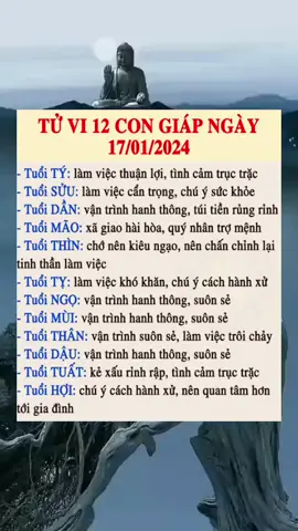 TỬ VI 12 CON GIÁP NGÀY 17/01/2024 #phongthuy #12congiap #tamlinh #huyenhoc #tuvituongso #tuvi #tuviphongthuy 