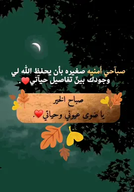 صباحي أمنية صغيرة بأن يحفظ الله لي وجودك بين تفاصيل حياتي💗💗 #حبيبي #صباح_الخير #منشن_للي_تحبه #اكسبلور #متابعه #ستوريات #حالات_واتس #لايكات #تعليقاتكم #fyp #fupシ #fupシforyou #capcu #الشعب_الصيني_ماله_حل😂😂😂 