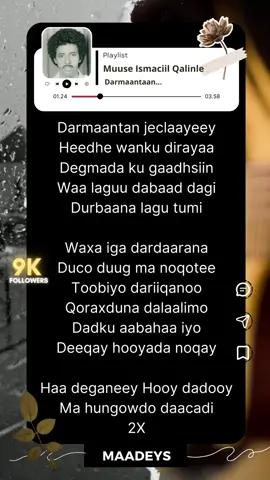 #heesoqoran #puntland #lyrics_songs #qaraami 