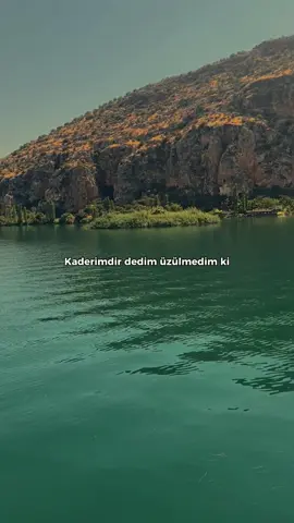 Yokmu Şöyle Yürek Yakan Sözleriniz Paylaşalım..🍂 #müslümercan   #halfetisaklıcennet    #storylikvideolar📌 #storylikşarkılar #fyp 