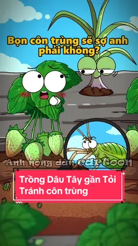 Trồng dâu tây gần tỏi tránh côn trùng #anhnongdancartoon #nongtraivuive #traicaybietnoi #hoathinhhay #ThanhThoiLuotTet 