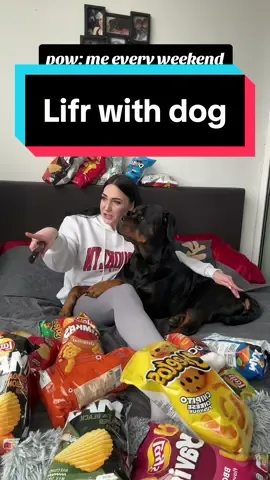 Life with dog 🤷🏻‍♀️🤣 #rottweiler #dog #life #dogsoftiktok 