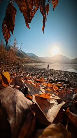 #كل_مابتشرق_شمس🌅_نهار #وائل_كفوري #استوريات #حالات_واتس #اكسبلور #fyp #explore #foryou 