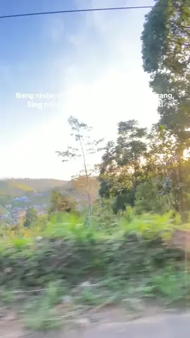 ##fyppppppppppppppppppppppp