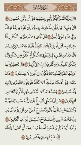 القرآن الكريم سورة النمل سعود الشريم #القرٱن_الكريم #راحة_نفسية #إطمئن 