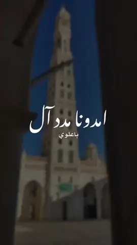 selalu candu sama qasidah Tarim Hadramaut #qasida #ulamatarim #kekasihrasullullah # #fyp #foryou 