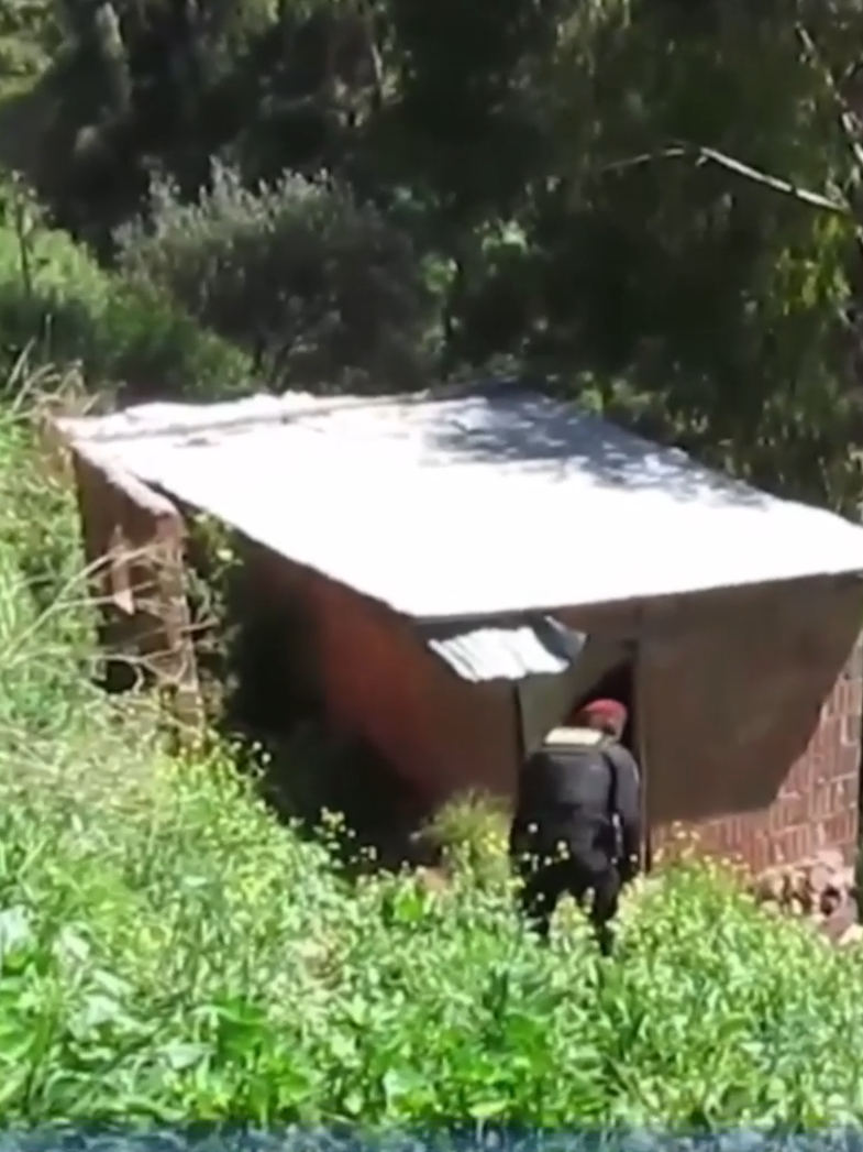 #Ctcpe #Cusco #noticia #matutino #picchualto #mpc #vivienda #contrucción