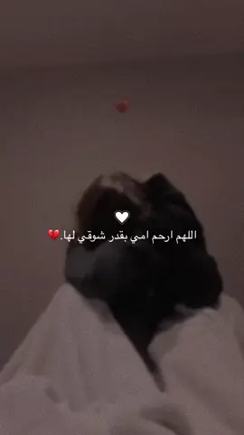 #إشتقت_إليك_يا_أمي 