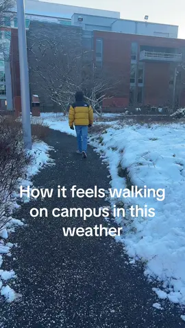 Welcome back owls! Stay warm in this weather or come warm up at the study abroad office while you learn more about our (summer) programs 😁 #fyp #temple #studyabroad #summerprograms #templeuniversity 
