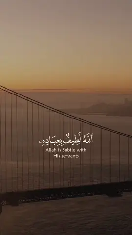 الله لطيف بعباده يرزق من يشاء وهو القوي العزيز #قران #quran #احمد_النفيس 