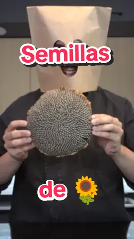 La costumbre de comer semillas de girasol 🌻 viene de España durante la crisis agraria y política en la Guerra Civil. Debido a la escasez de alimentos durante ese período, la gente empezó a incluir en su dieta todo lo que tenía a mano, incluidas las pipas de girasol. En un principio, su consumo generó cierta controversia, ya que algunos sectores más conservadores consideraban que era una 